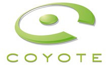 Coyote